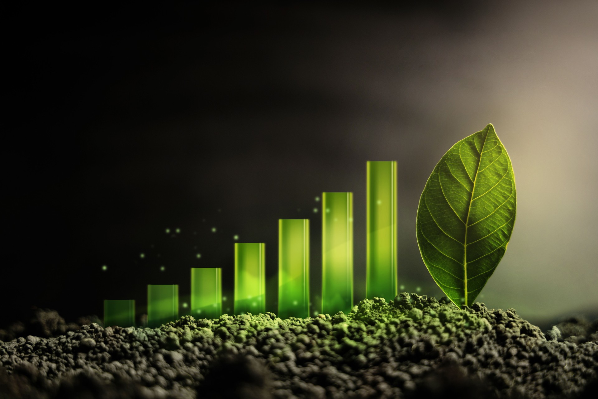 Sustainable Business. Green Energy, Renewable in Environmental Concept. a Green Bar Chart Glowth on Dark Soil and a Green Leaf as a Goal